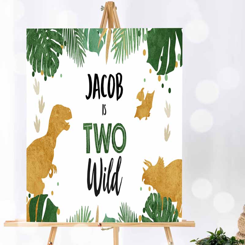 Dinosaur Kids Birthday, Backdrop Banner, Boy Gold Two Wild Kids Birthday, Dino Welcome Sign