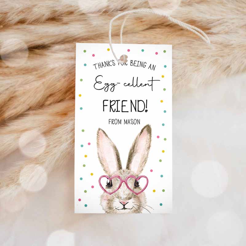 Easter Friend Gift Tags, Easter Eggcellent Friend Classroom Easter Favor Tags, Kids Bunny Cookie Tag Kids