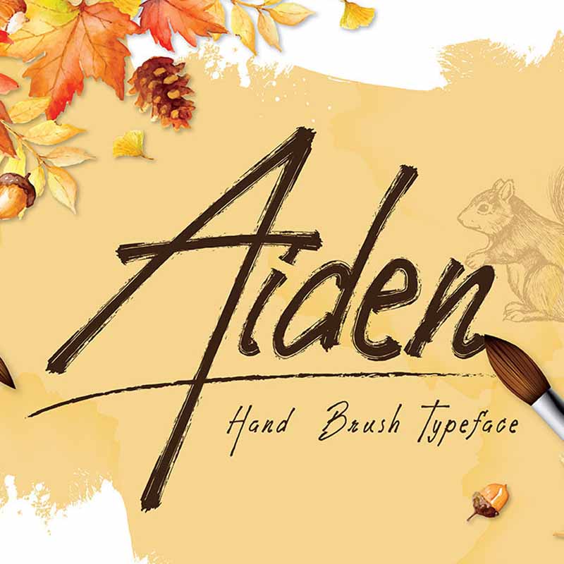 Aiden Font