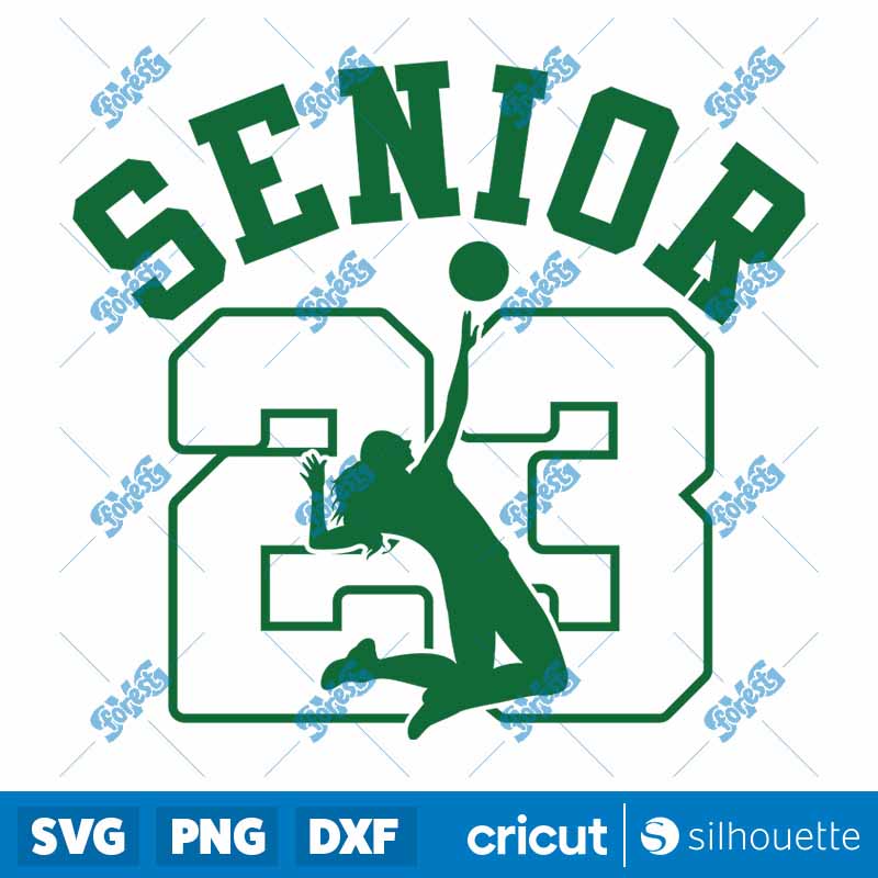 Air Senior 23 Volleyball SVG