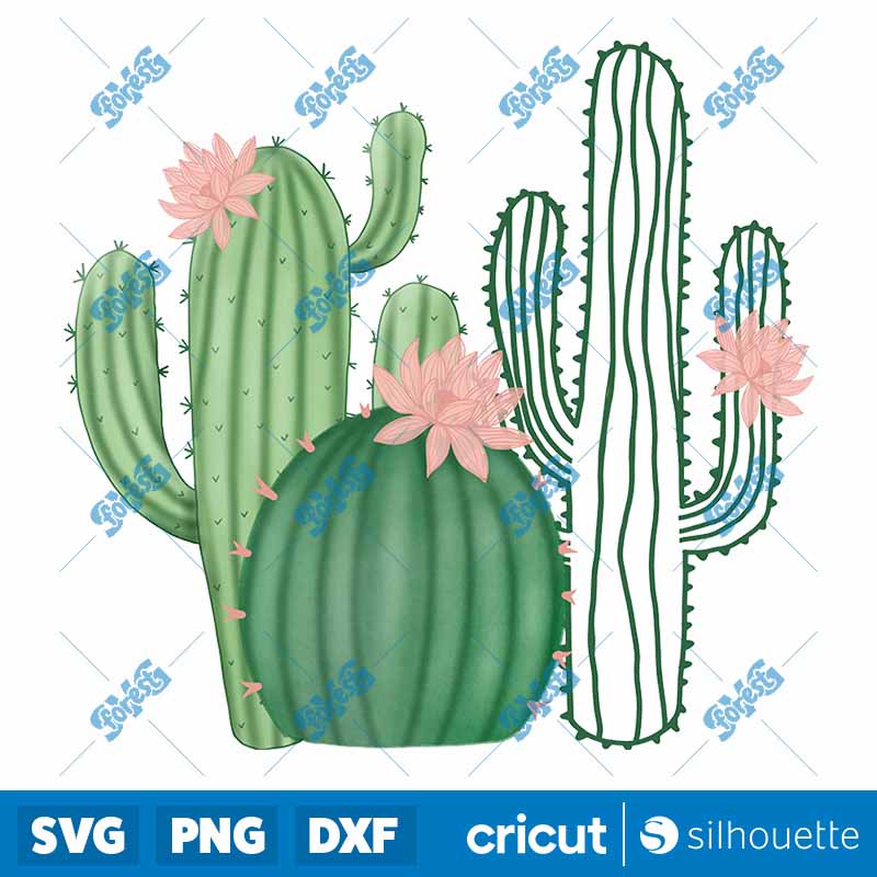 Cactus Design