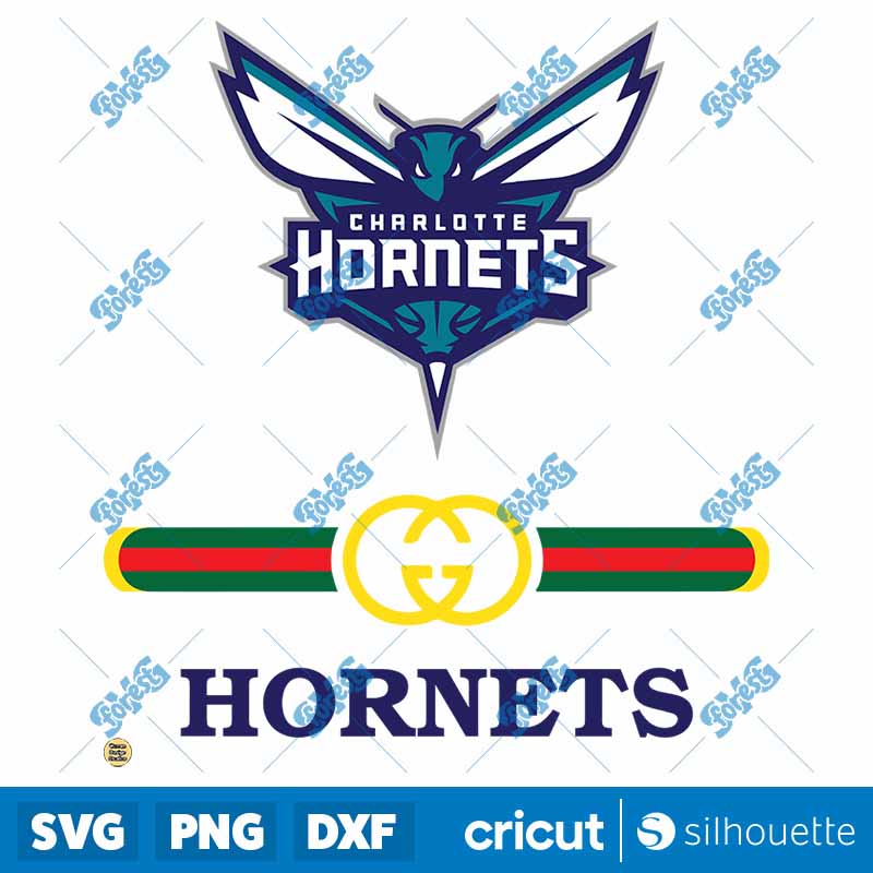 Charlotte Hornets PNG