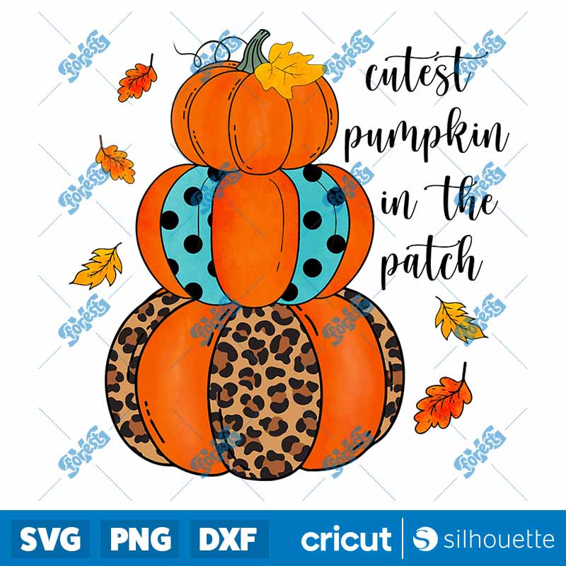 Cutest Pumpkin In The Patch
  Pumpkin PNG