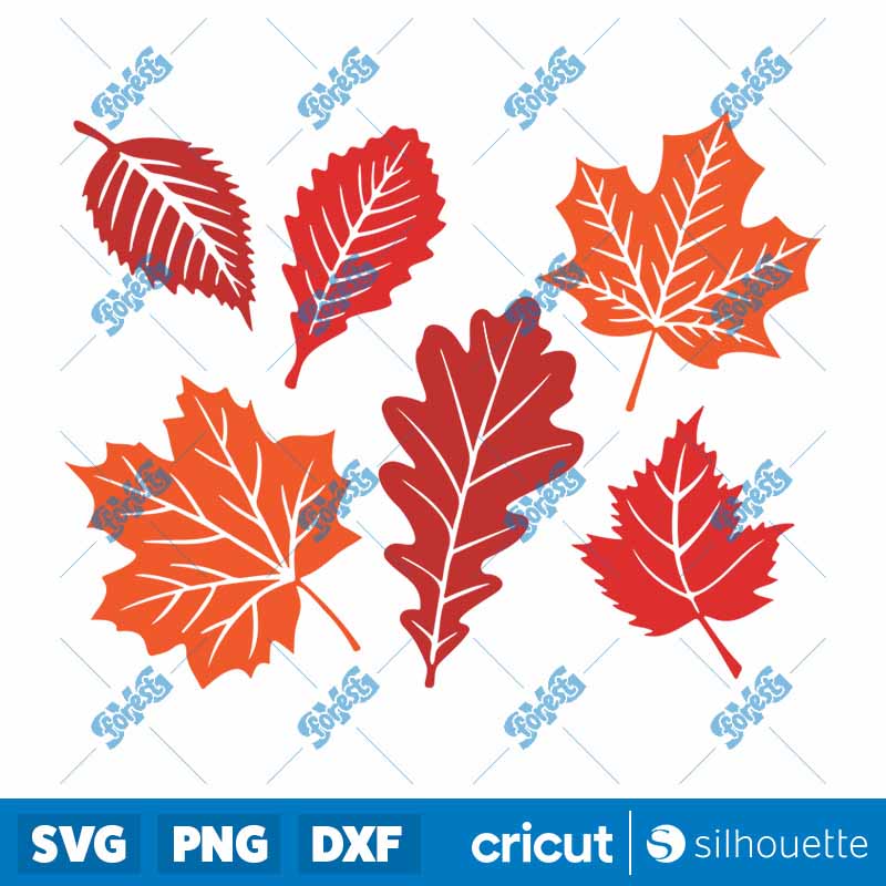 Fall Leaves SVG