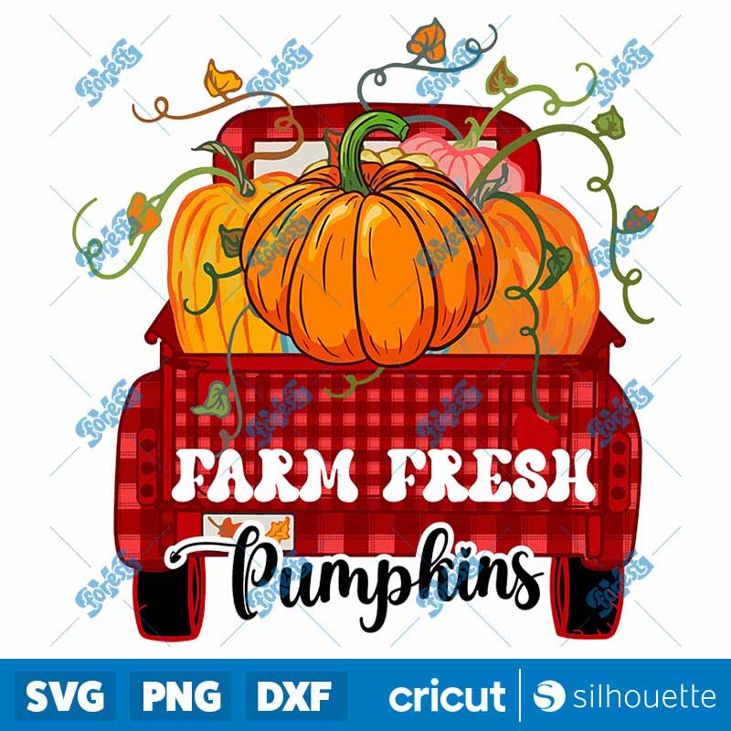 Farm Fresh Pumpkins PNG