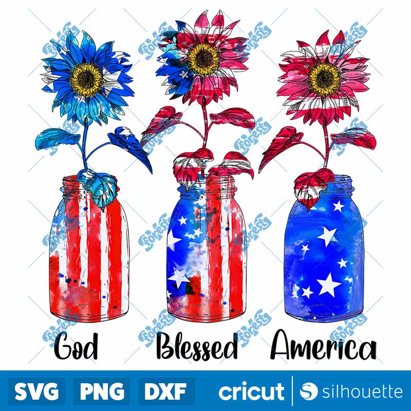 God Blessed America PNG