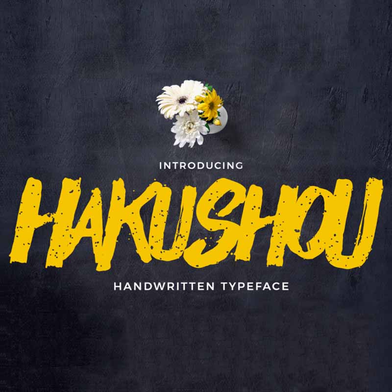 Hakushou Font