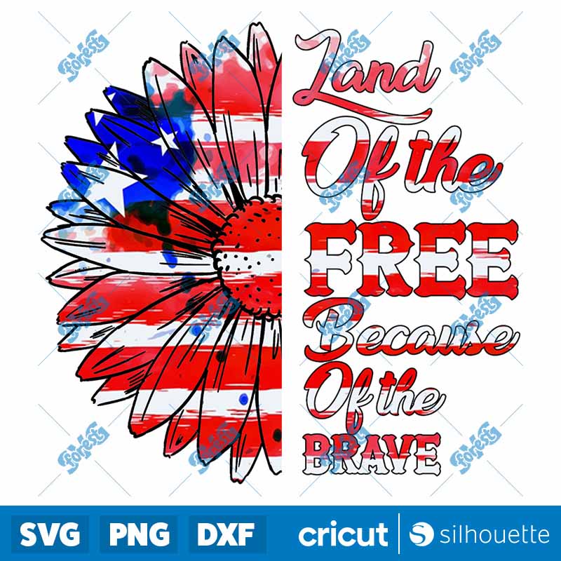 Land Of The Free PNG