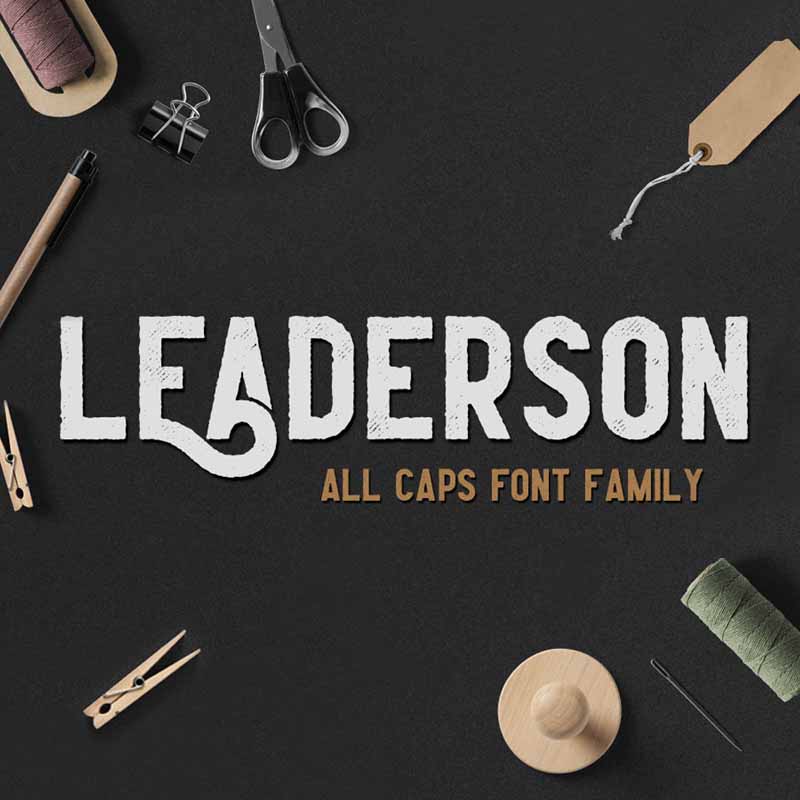 Leaderson
  Family Font