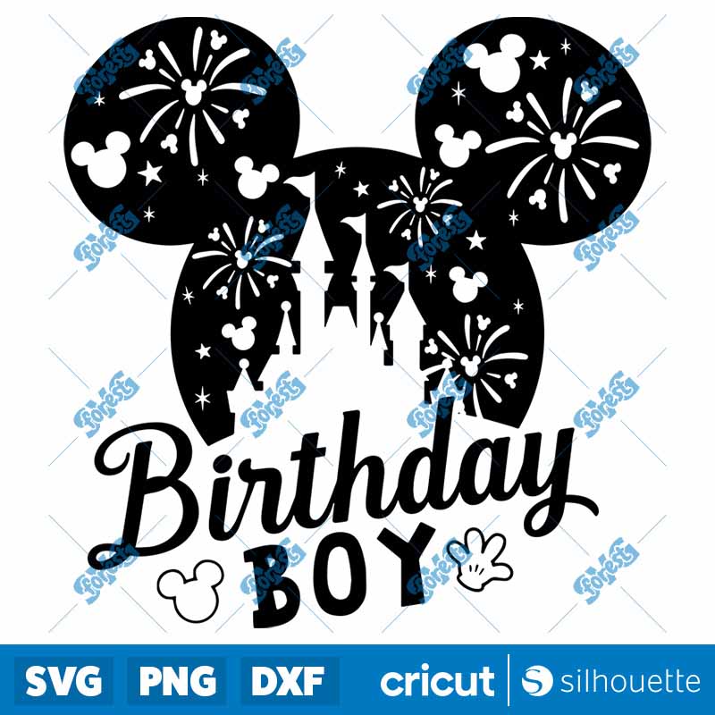 Mickey Brithday Boy