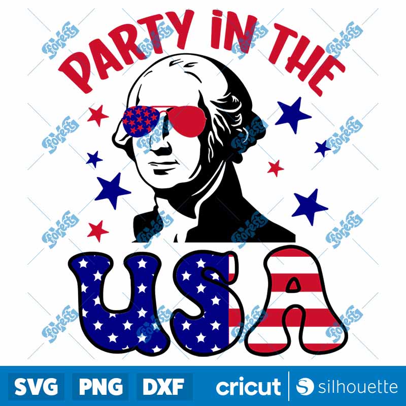 Party In The Usa SVG