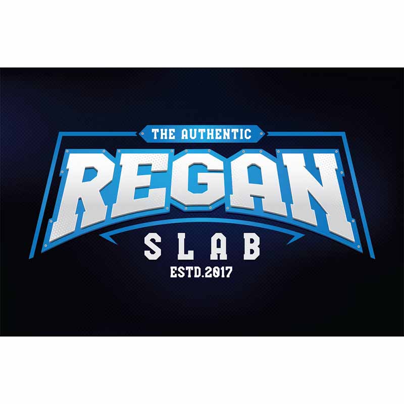 Regan Slab Font