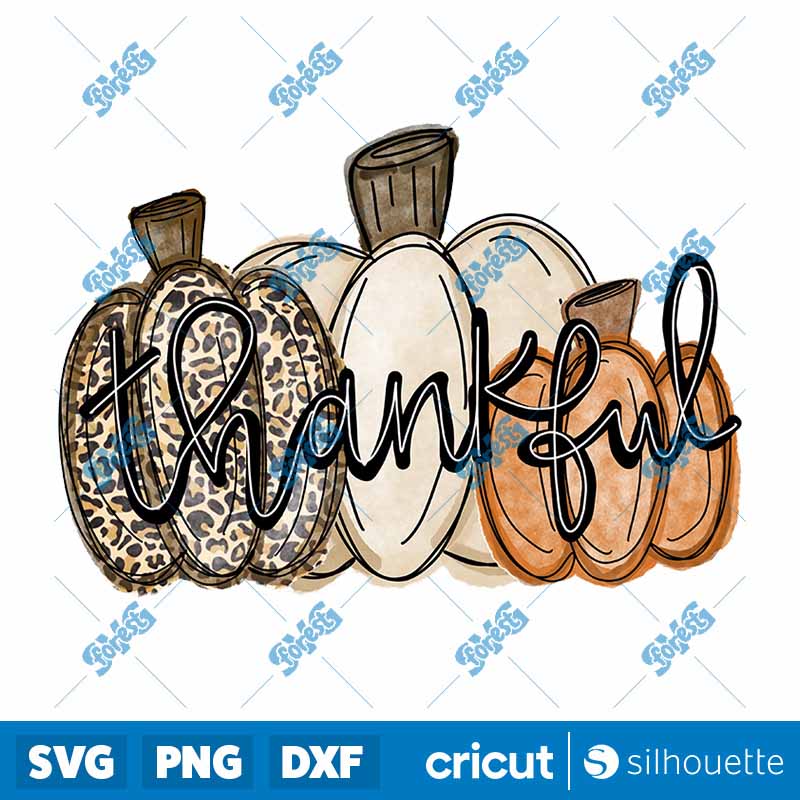 Thankful Pumpkin PNG