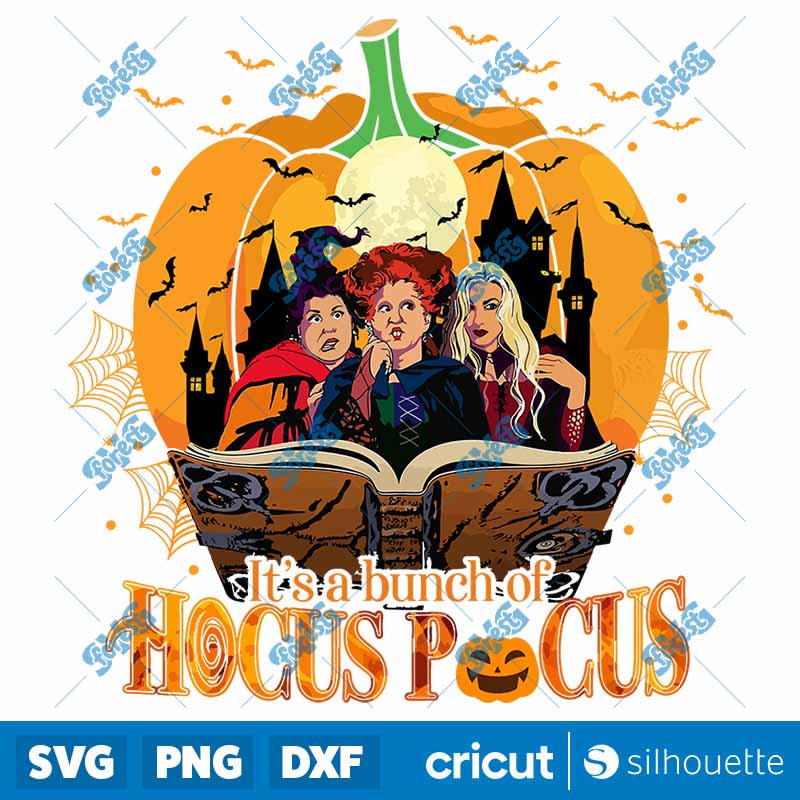 Witch Halloween PNG