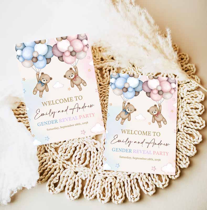 Teddy Bear Gender Reveal Welcome Sign, Pink and Blue Bear Baby Shower Poster He or She Yard Sign, Neutral Party, Porch Door Sign